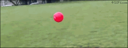 gifs that will make you laugh every time 12.gif