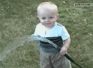 gifs that will make you laugh every time 14.gif