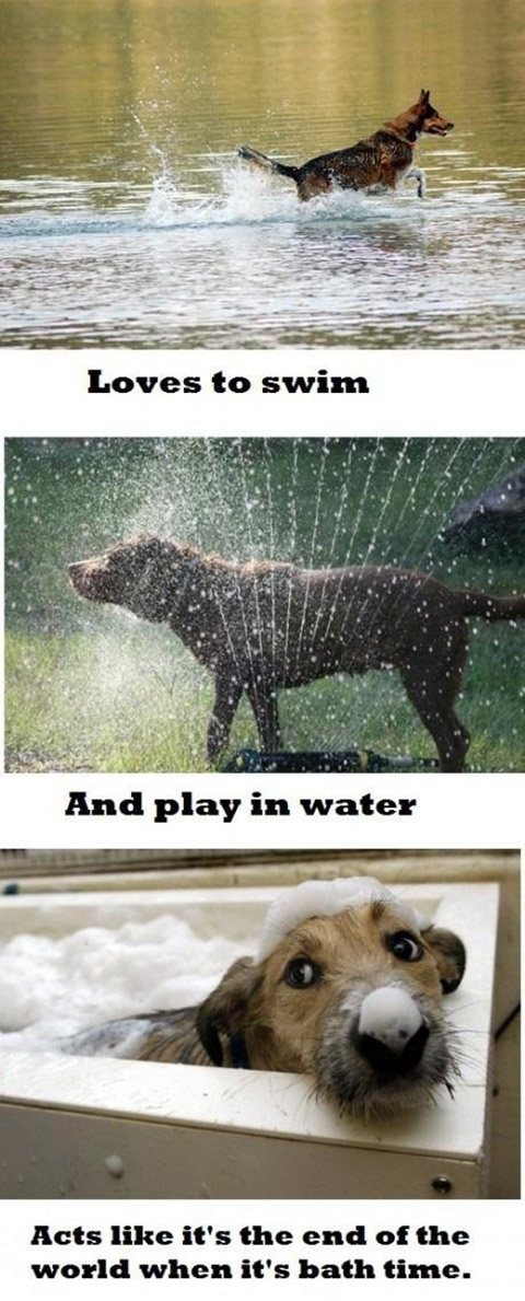 via reddit.com