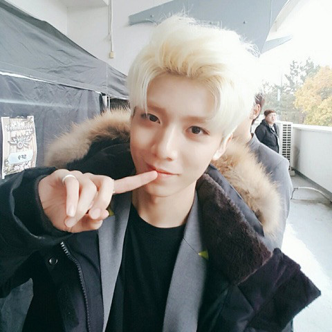 ãSF9ããã£ã¨ã³ãã®ç»åæ¤ç´¢çµæ