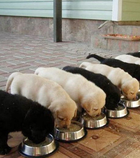 20 fotos que vão deixar os perfeccionistas de cabelo em pé