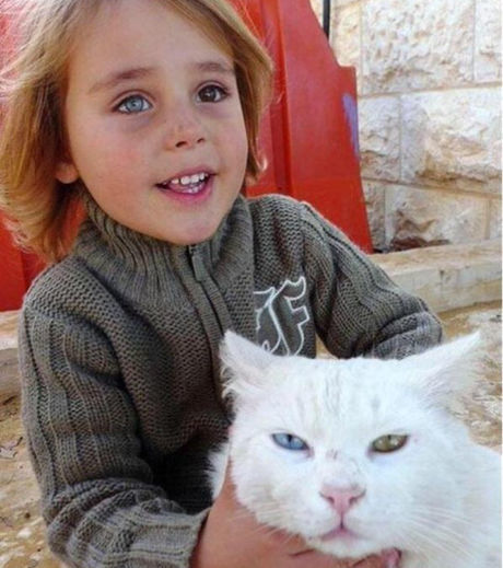 22 fotos que vão chamar sua atenção