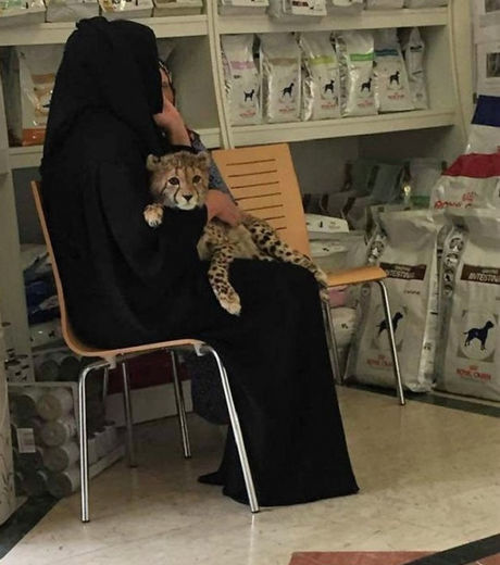 15 coisas incríveis que só acontecem em Dubai