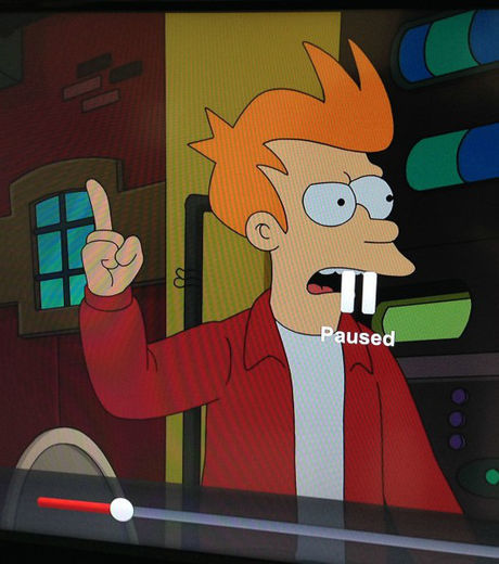 22 fotos que vão chamar sua atenção