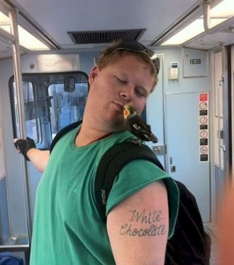 21 motivos para não pegar o transporte público