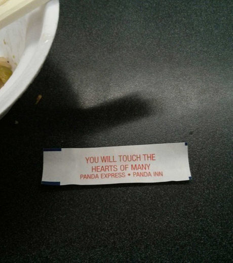 22 fotos que vão chamar sua atenção