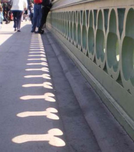 30 fotos que farão você olhar duas vezes para entendê-las melhor