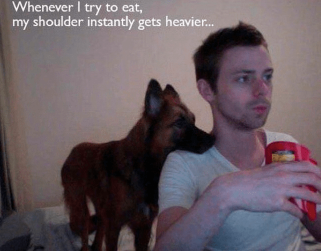 Image via Distractify