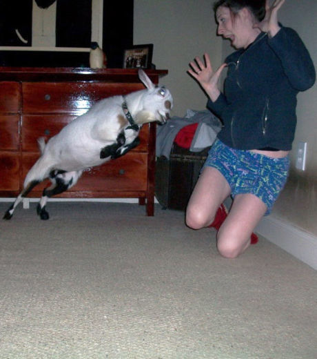 16 fotos tiradas imediatamente antes do desastre