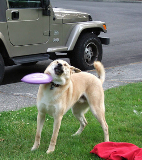 16 fotos tiradas imediatamente antes do desastre