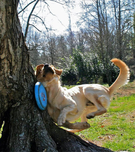 16 fotos tiradas imediatamente antes do desastre