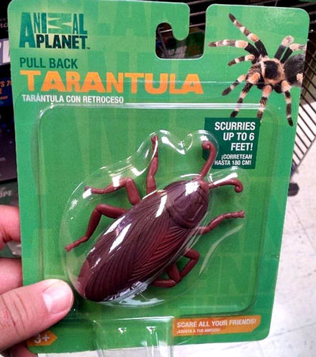 Top 30 das pessoas que só tinham uma coisa a fazer e falharam completamente