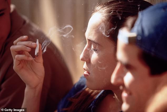 Pesquisadores dizem que o uso de maconha em adolescentes está ligado a lutas com raciocínio, memória e inibições mais tarde na vida (imagem do arquivo)