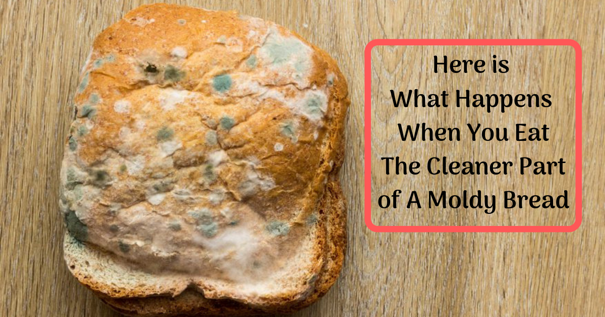 the-clean-part-of-the-bread-is-not-safe-to-eat-molds-are-everywhere