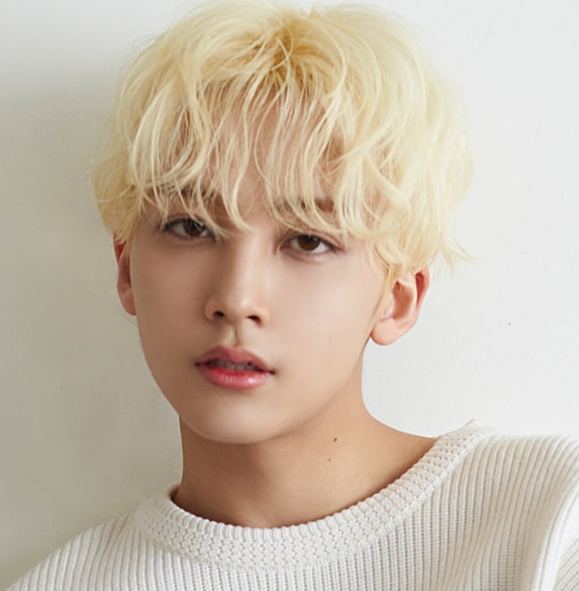SEVENTEENãJeonghanì ëí ì´ë¯¸ì§ ê²ìê²°ê³¼