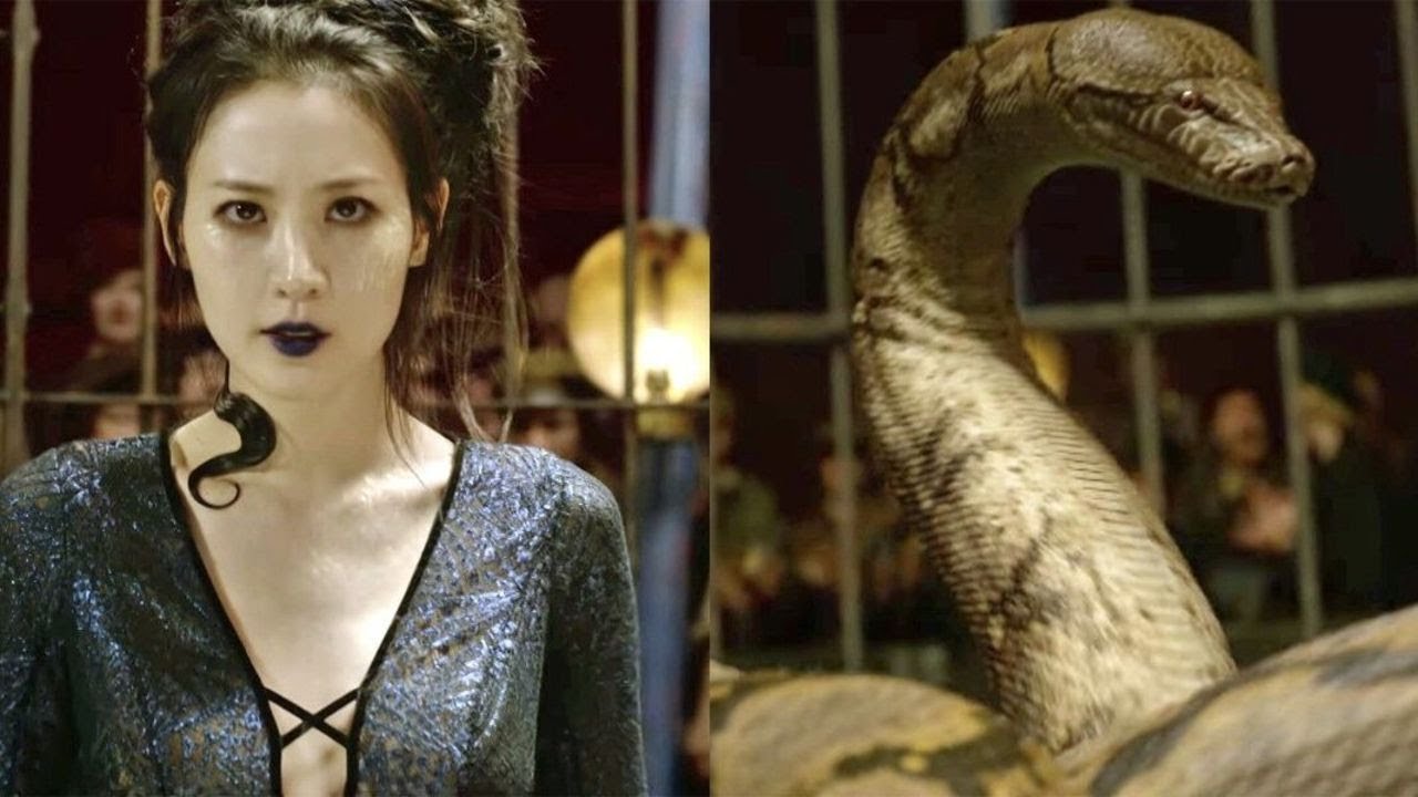 Resultado de imagen de fantastic beasts 2 nagini