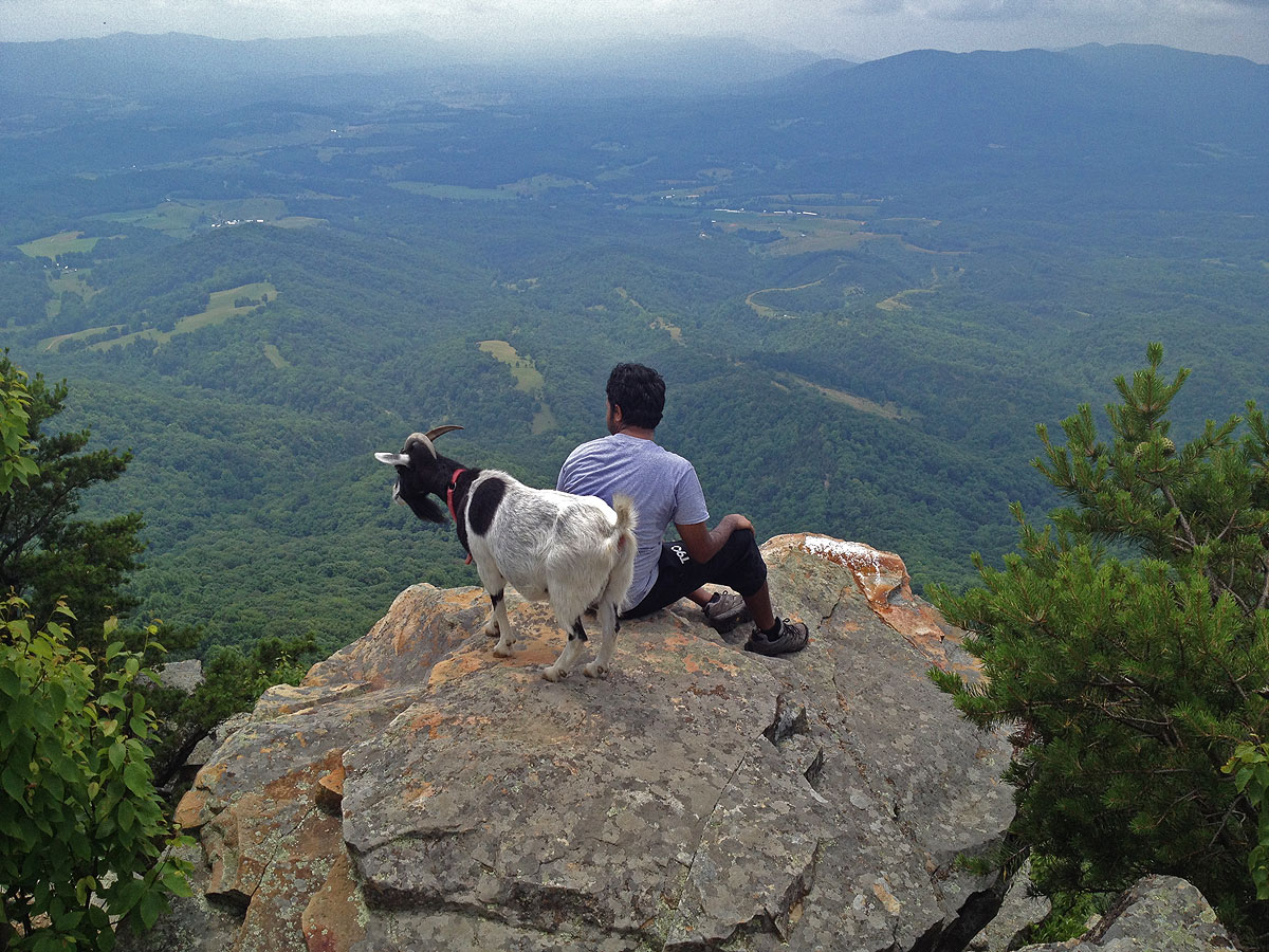 Resultado de imagen de goats hiking