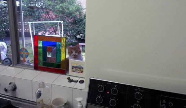 1dd49cc2df927bfc13e6d43e1399e881_650x