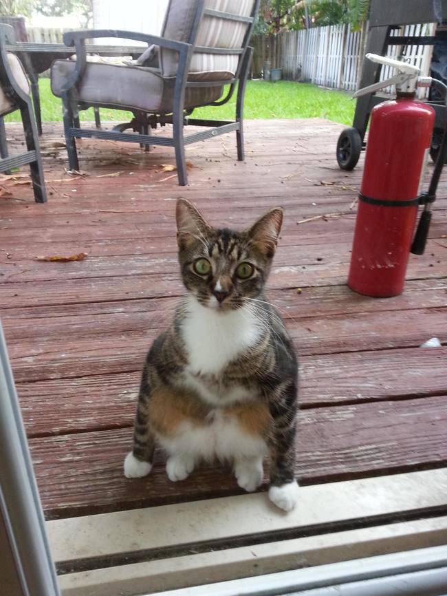 25e2581d4c358a6a9d1aed3a173bb67e_650x