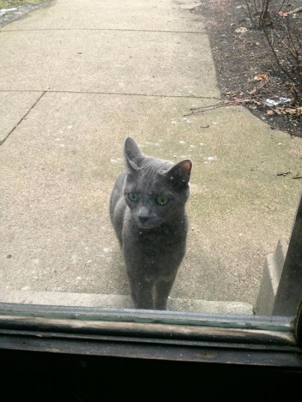 56ed5cff751c4d5a5cbd0d9a16ee416a_650x