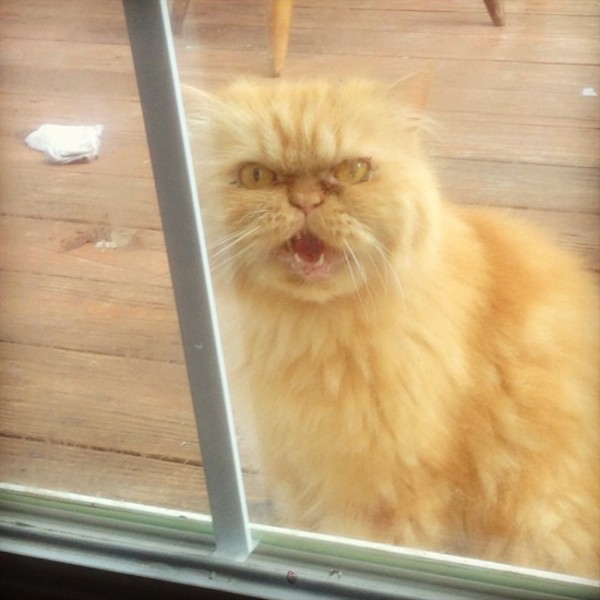 5a64df1c66e3b5aac3acdee06b8906fd_650x