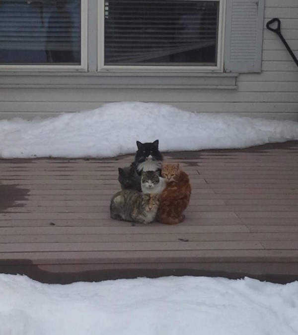 70b409d0b63b8befe864cc04a46b551d_650x