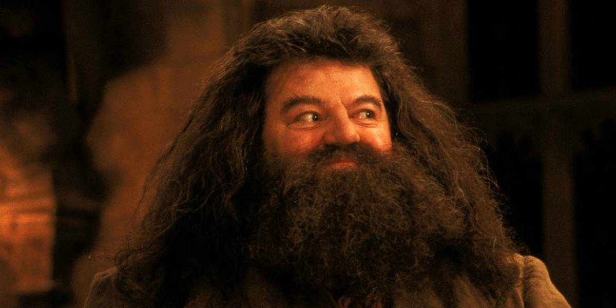 Resultado de imagen de hagrid
