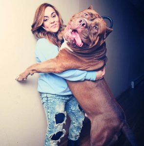 La imagen puede contener: 1 persona, perro