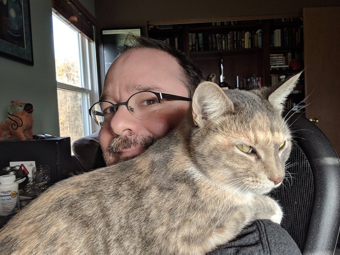 Sugar, using the human as a couch.