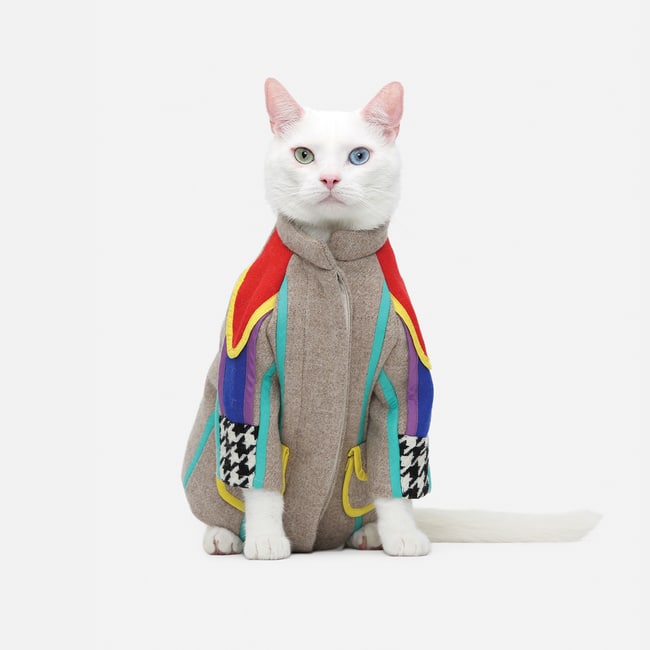 05380aa5f6aa7acaad5501c92f095707_650x