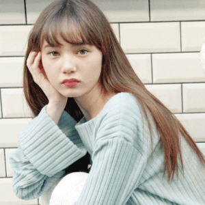 ãã¼ã·ã¥å½©ì ëí ì´ë¯¸ì§ ê²ìê²°ê³¼