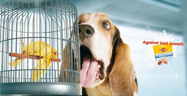 23-creatively-ironic-ads-2