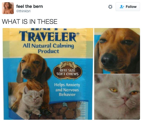 24 Hilarious Pictures That Will Make Your Day Instantly Better. #9 Is The Best Ever!