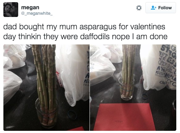 24 Hilarious Pictures That Will Make Your Day Instantly Better. #9 Is The Best Ever!