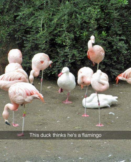24 Hilarious Pictures That Will Make Your Day Instantly Better. #9 Is The Best Ever!
