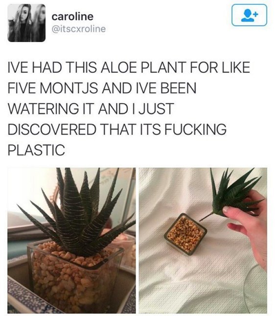 24 Hilarious Pictures That Will Make Your Day Instantly Better. #9 Is The Best Ever!