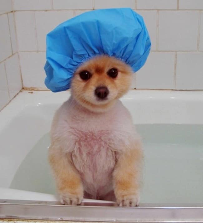 251d8394eee982457b3b493285ad61ad_650x