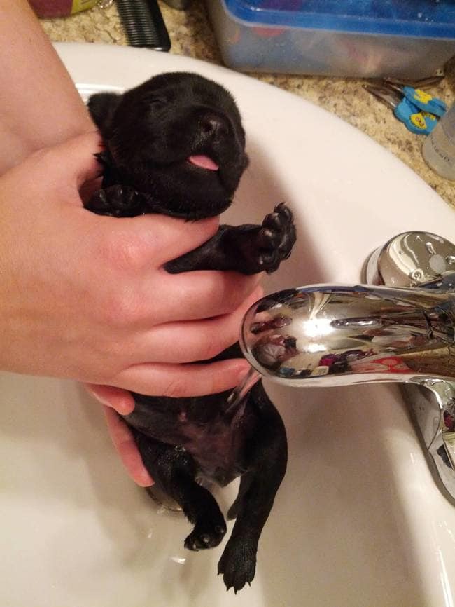 32afea4c489290522e04bfb9d13c634a_650x