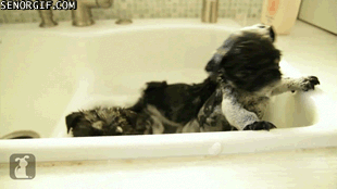 5518fb362f6e3baccad7568e71a53d59