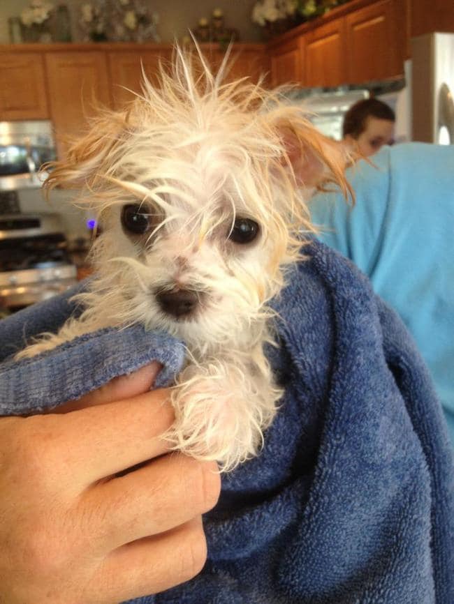 5fba2fb90f24c03e079f602192d32604_650x