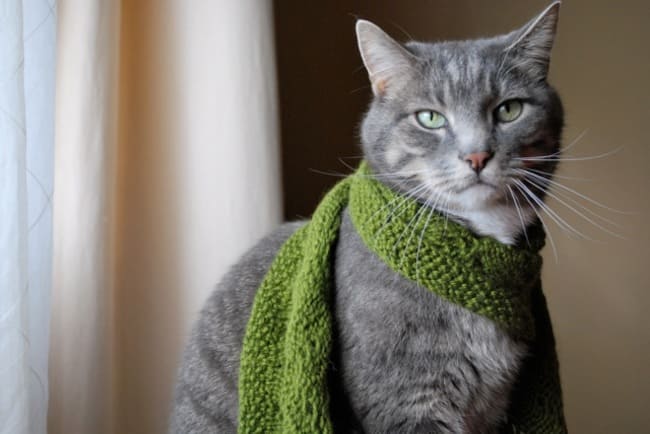 74e8d179e961d9e64cc9314813a2a0ed_650x