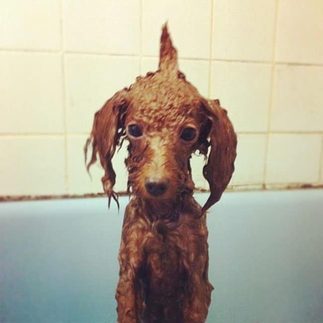 97bbd44cbeec48b7b2e36eaf1ec27d56_650x