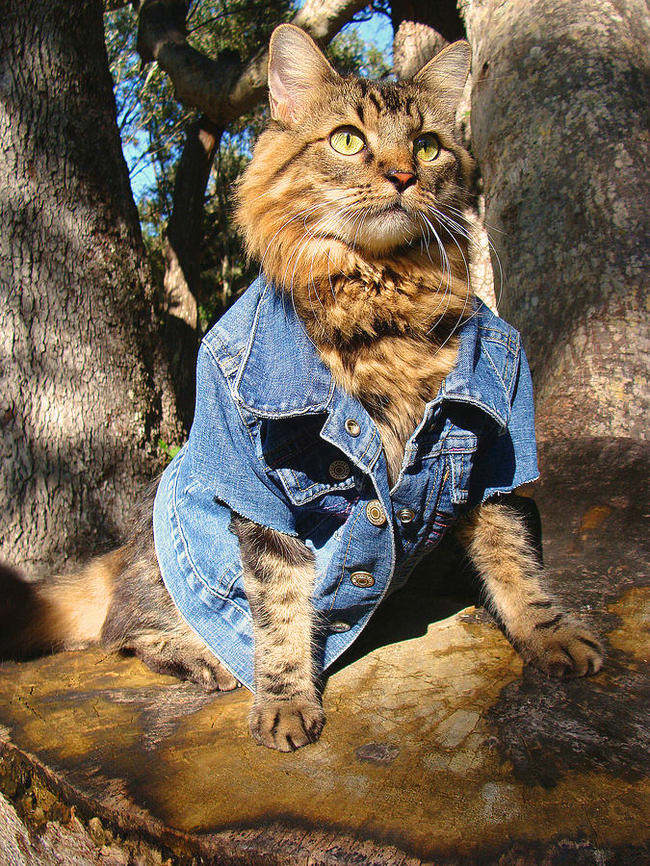 9ebcec7a1edb0ef4262487e07b44181d_650x