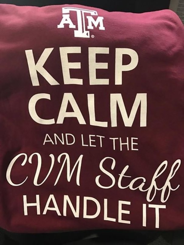  College Of Veterinary Medicine, Choose Your Fonts Wisely