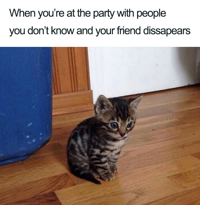  Funny introvert memes