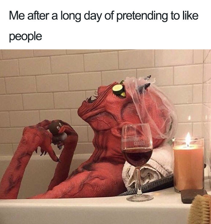  Funny introvert memes