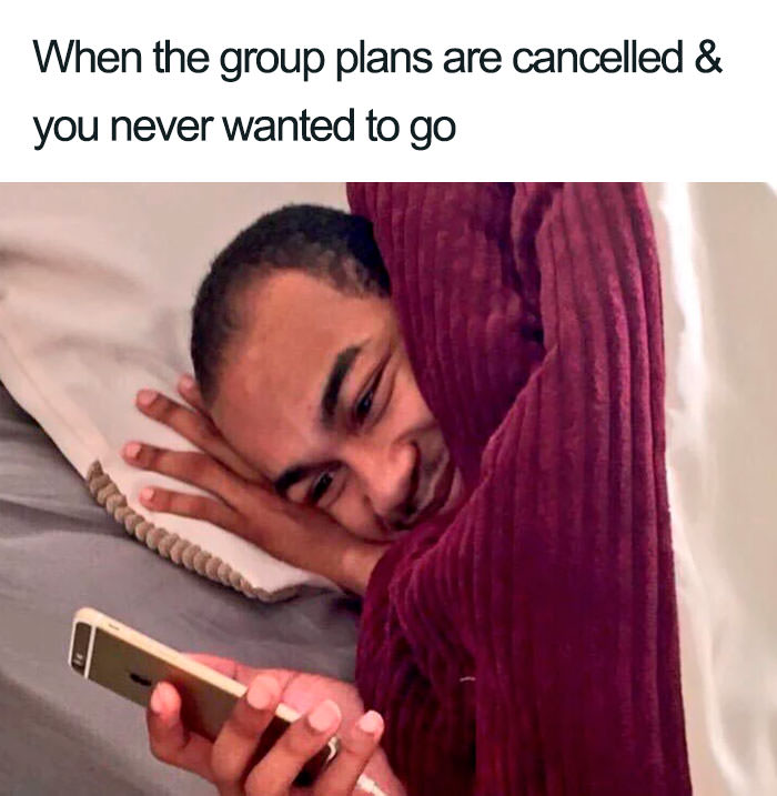  Funny introvert memes