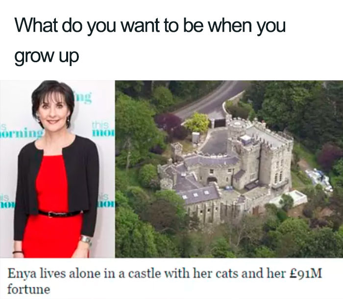  Funny introvert memes