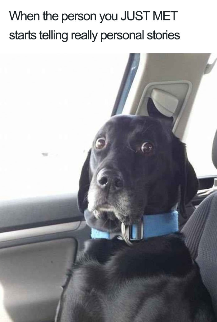  Funny introvert memes