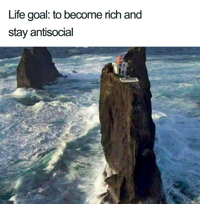  Funny introvert memes